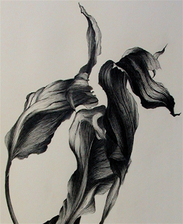 Drawings